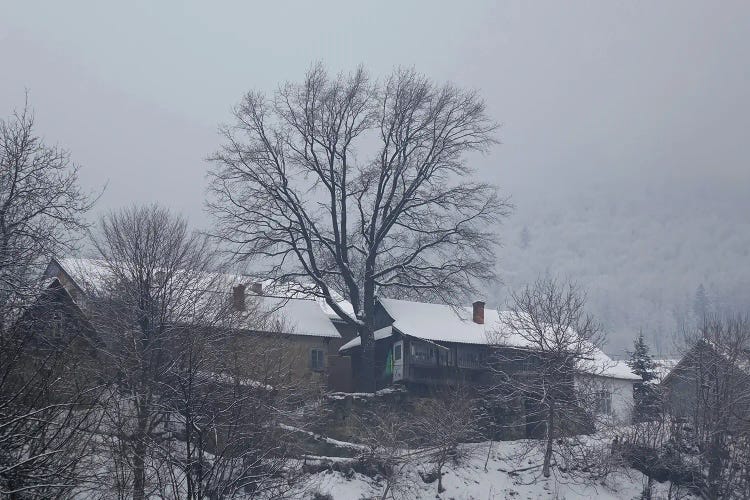 Carpathian Village In Winter Fog