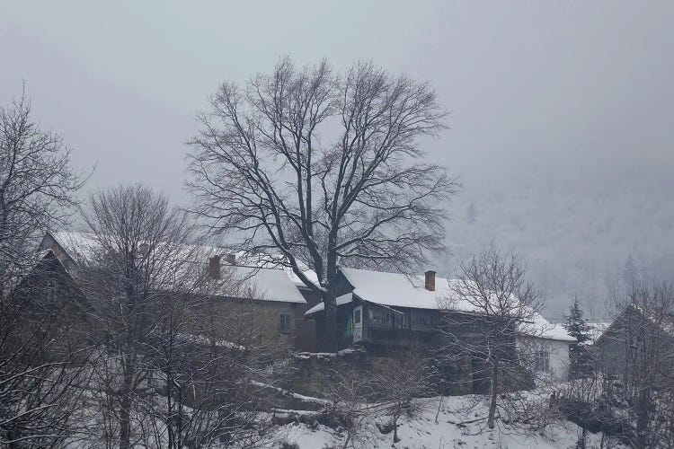 Carpathian Village In Winter Fog by Mike Kiev wall art