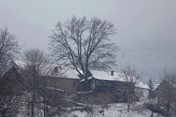 Mike Kiev: Carpathian Village In Winter Fog by Mike Kiev