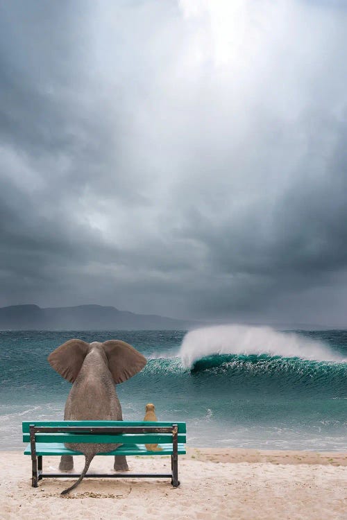 Elephant And Dog Sit By The Sea In A Storm by Mike Kiev wall art