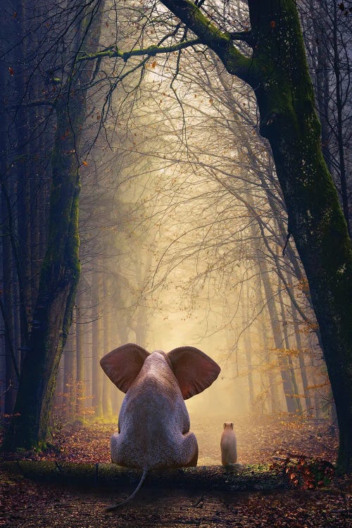 Elephant And Dog Sit In The Autumn Forest by Mike Kiev wall art