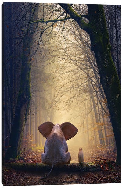 Elephant And Dog Sit In The Autumn Forest Canvas Art Print - Elephant Art