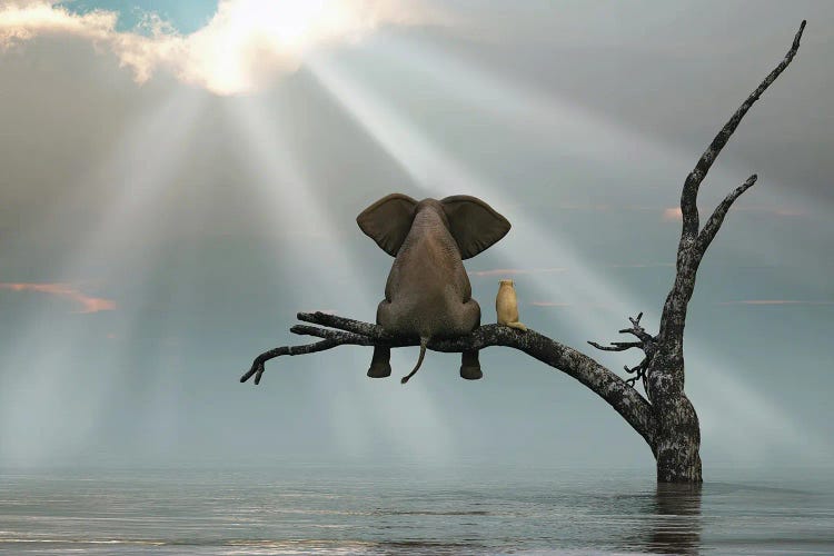 Elephant And Dog Are Sitting On A Tree Fleeing A Flood by Mike Kiev wall art