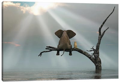 Elephant And Dog Are Sitting On A Tree Fleeing A Flood Canvas Art Print - Mike Kiev
