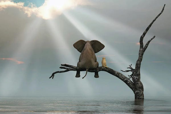Digital Art: Elephant And Dog Are Sitting On A Tree Fleeing A Flood by Mike Kiev