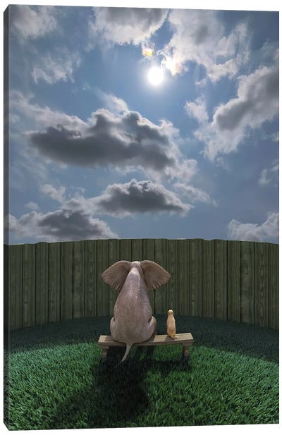 Elephant And Dog Sit By The Fence And Look At The Sky Canvas Art Print - Animal & Pet Photography