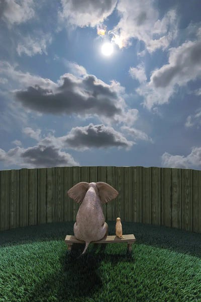 Dog Photography: Elephant And Dog Sit By The Fence And Look At The Sky by Mike Kiev
