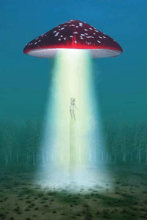 Flying Hallucinogenic Mushroom Kidnaps A Woman At Night by Mike Kiev wall art