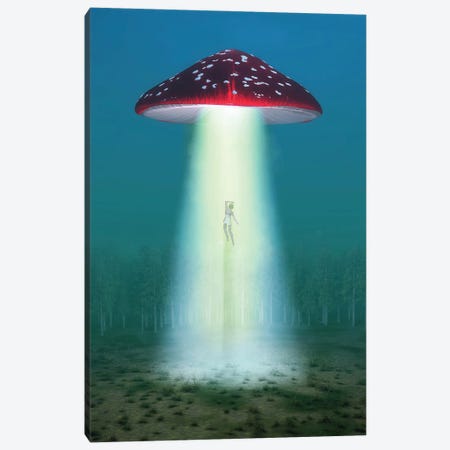 Flying Hallucinogenic Mushroom Kidnaps A Woman At Night Canvas Print #MII219} by Mike Kiev Art Print
