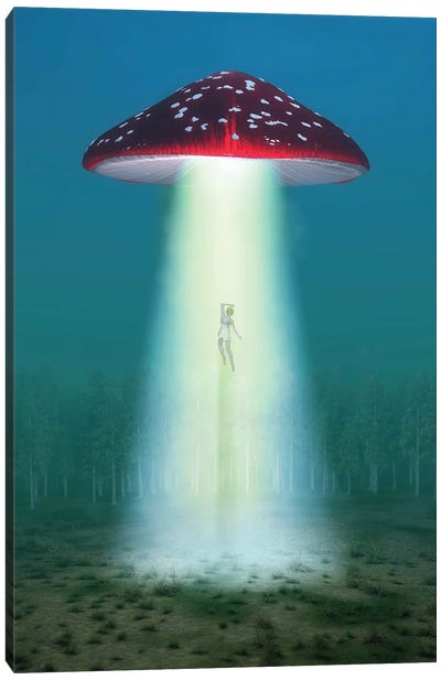 Flying Hallucinogenic Mushroom Kidnaps A Woman At Night Canvas Art Print - UFO Art