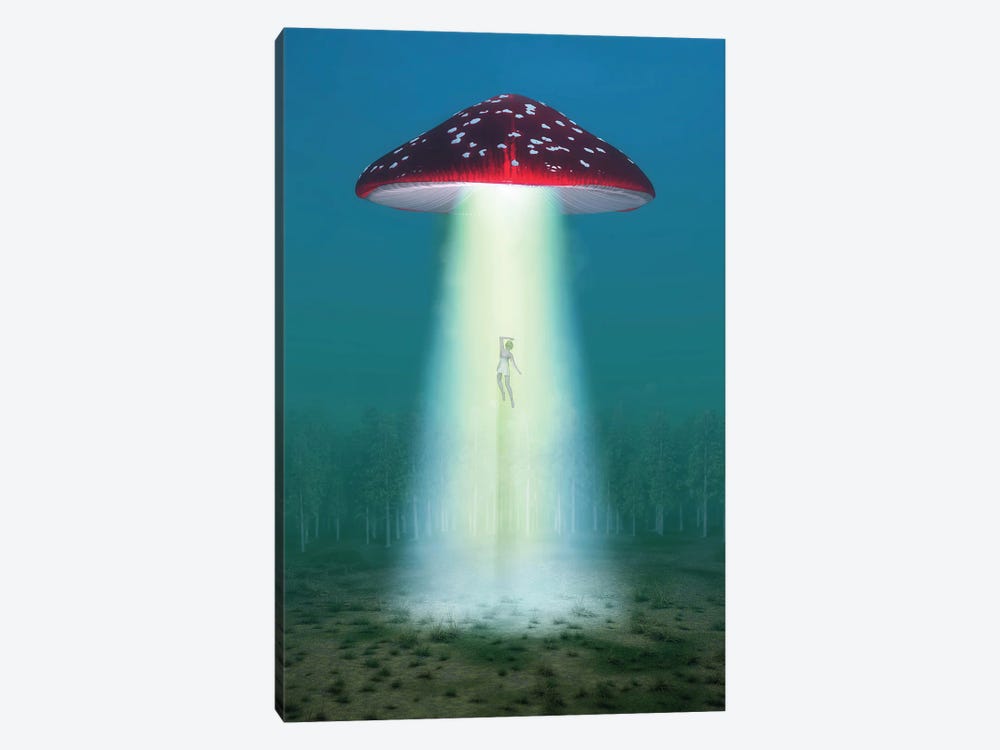 Flying Hallucinogenic Mushroom Kidnaps A Woman At Night by Mike Kiev 1-piece Canvas Art Print