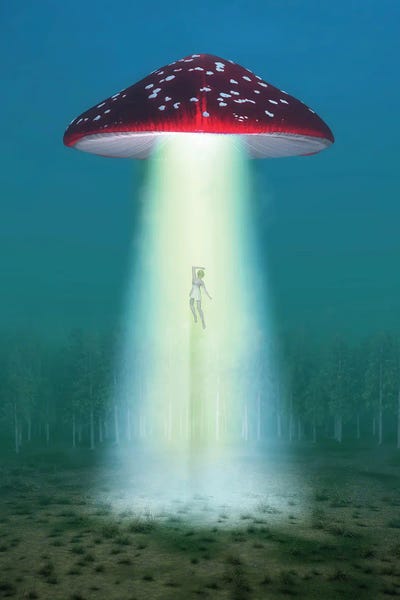 Mike Kiev: Flying Hallucinogenic Mushroom Kidnaps A Woman At Night by Mike Kiev