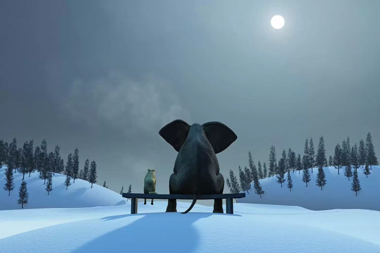 Elephant And Dog At Christmas Night