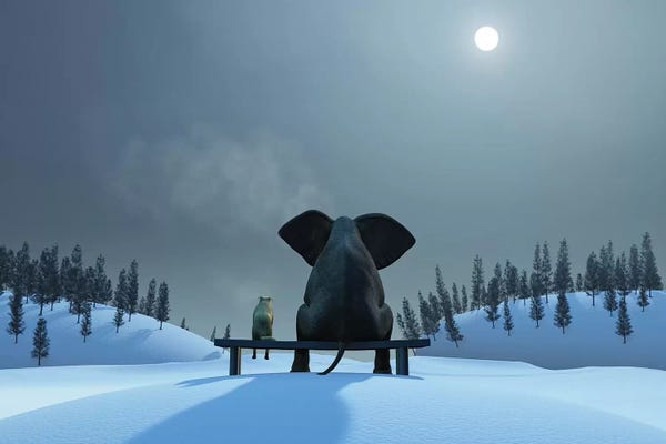 Elephants: Elephant And Dog At Christmas Night by Mike Kiev