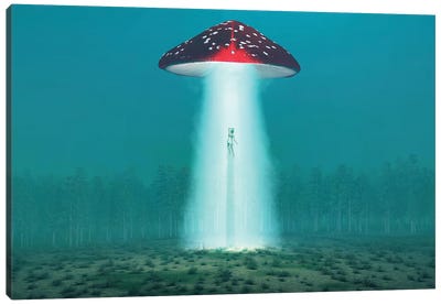 Flying Hallucinogenic Mushroom Kidnaps A Woman At Night II Canvas Art Print - UFO Art