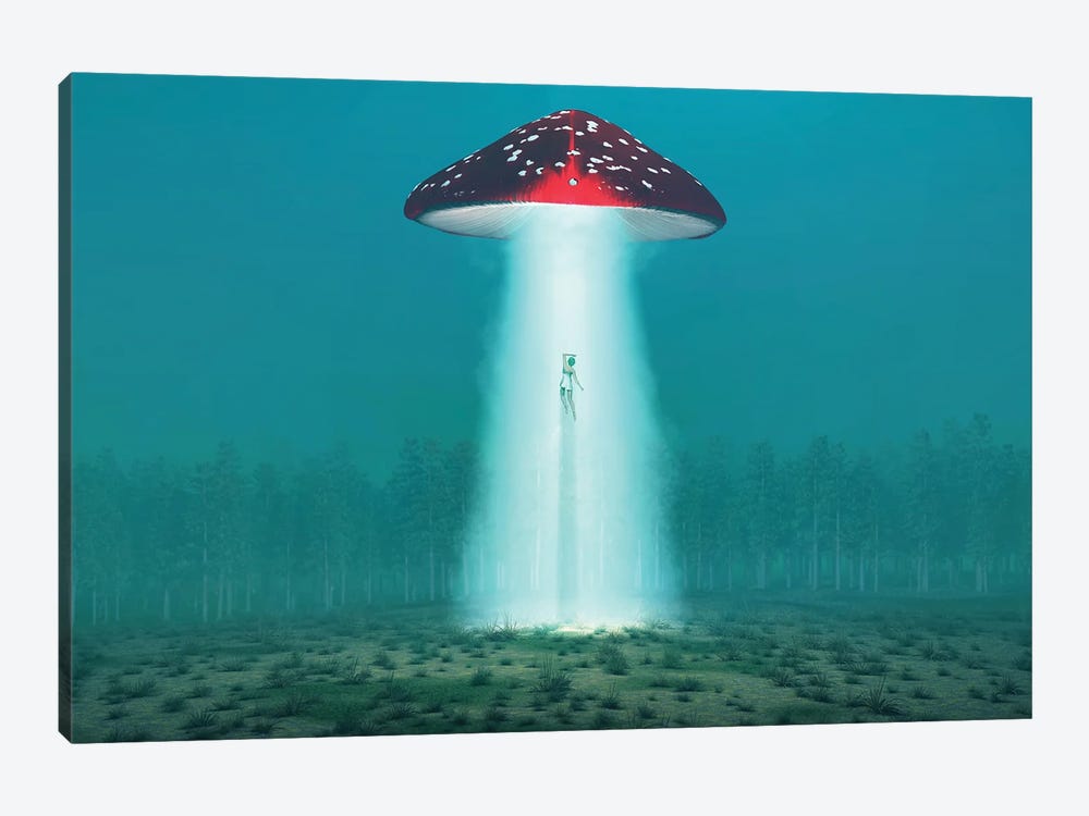 Flying Hallucinogenic Mushroom Kidnaps A Woman At Night II by Mike Kiev 1-piece Canvas Art Print