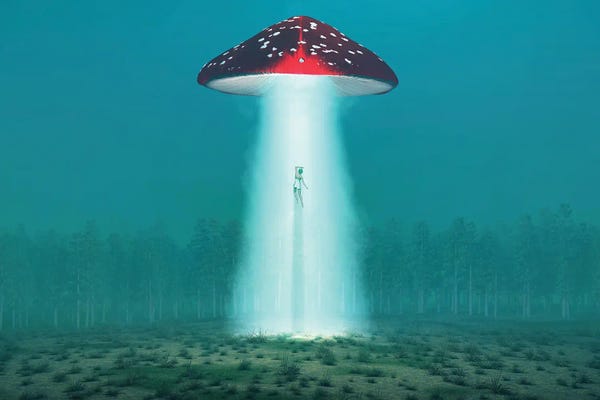 UFOs: Flying Hallucinogenic Mushroom Kidnaps A Woman At Night II by Mike Kiev
