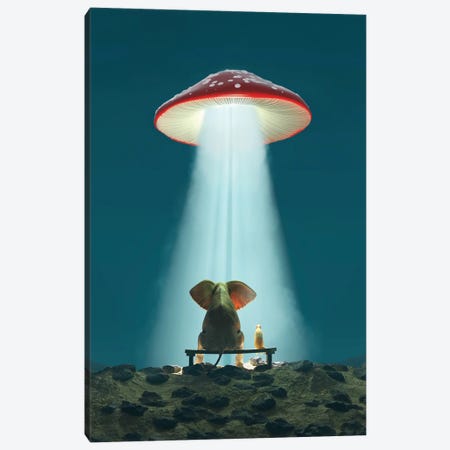 Elephant And Dog Look At A Flying Mushroom Canvas Print #MII221} by Mike Kiev Canvas Artwork