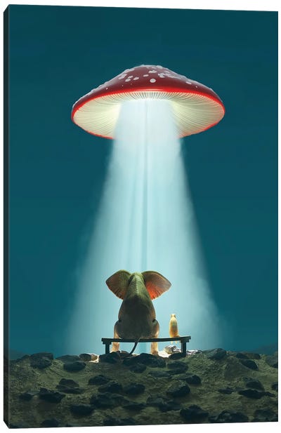 Elephant And Dog Look At A Flying Mushroom Canvas Art Print - Mushroom Art