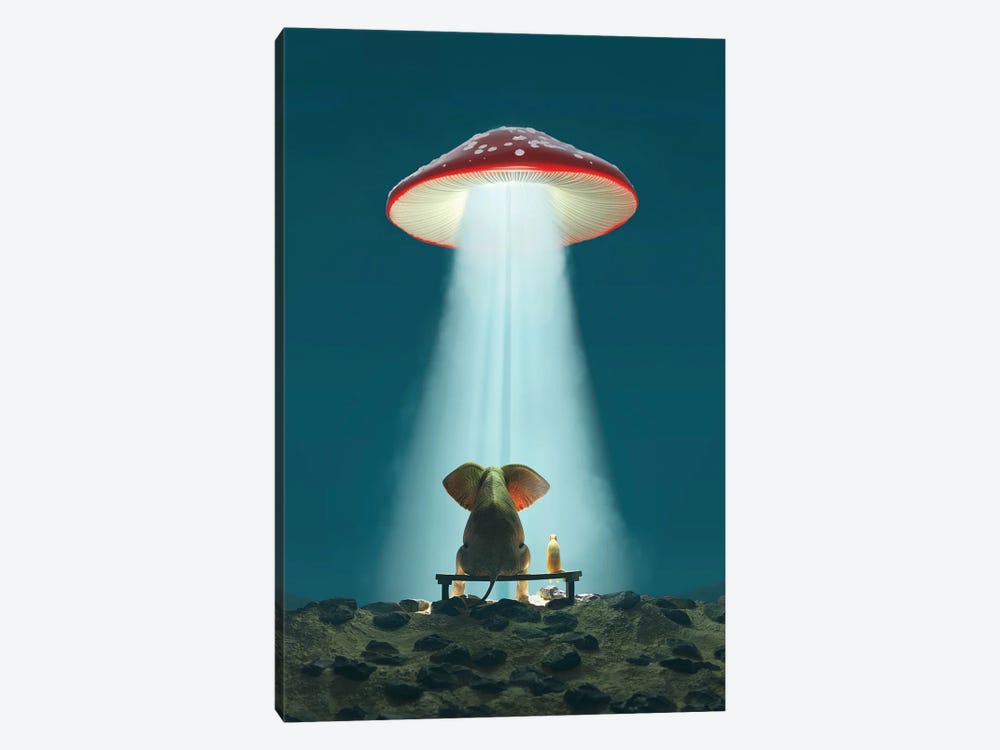 Elephant And Dog Look At A Flying Mushroom by Mike Kiev 1-piece Canvas Wall Art