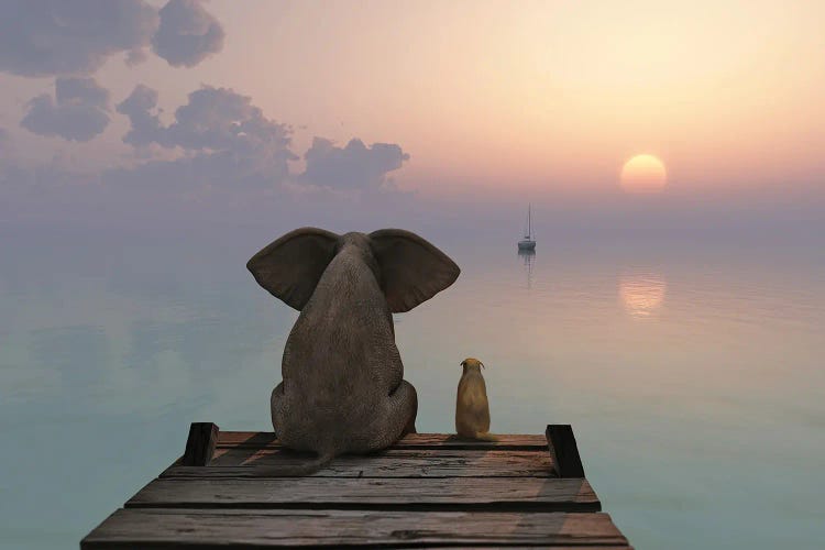 Elephant And Dog Sit On The Pier