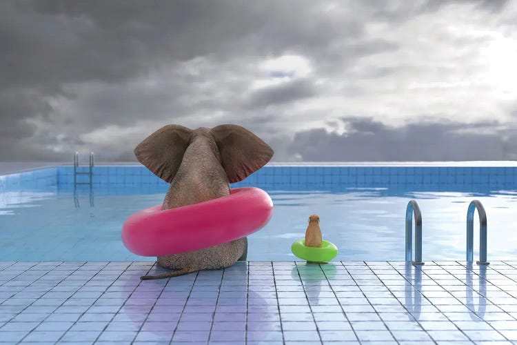 Elephant And Dog Sit On The Edge Of The Pool by Mike Kiev wall art