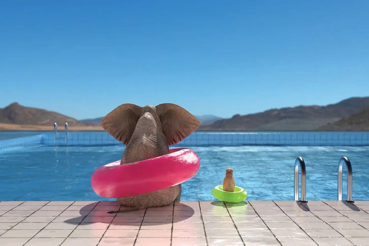 Elephant And Dog Sit On The Edge Of The Pool II