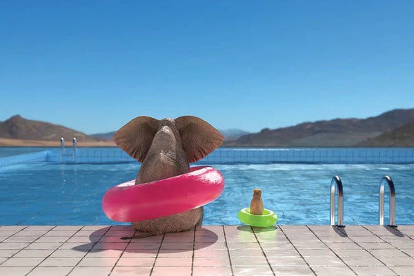 Mike Kiev: Elephant And Dog Sit On The Edge Of The Pool II by Mike Kiev