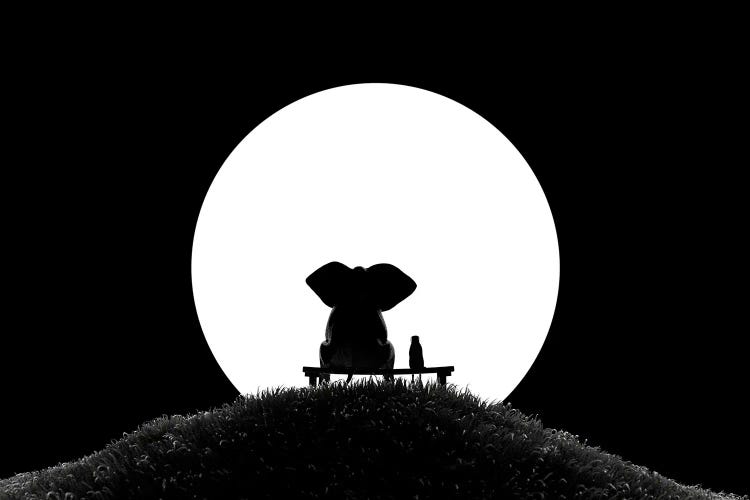 Elephant And Dog Look At The Moon