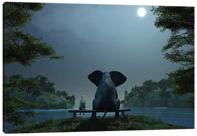 Elephant And Dog At Summer Night Canvas Art Print - Animal Humor Art