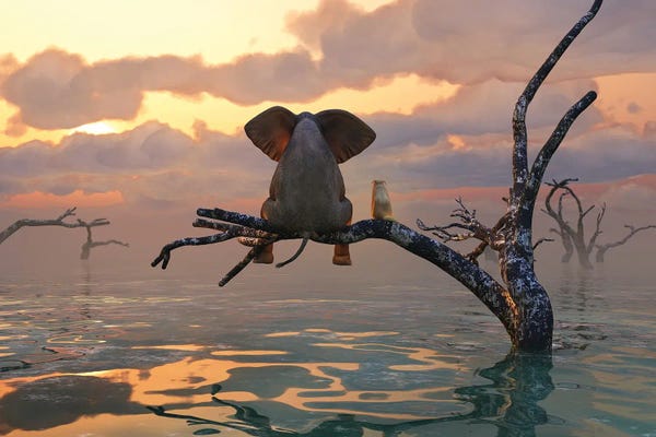 Mike Kiev: Elephant And Dog Sit On A Tree During A Flood II by Mike Kiev