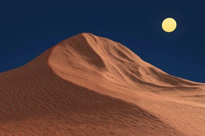 Moonlit Night In The Desert by Mike Kiev art print