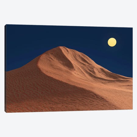 Moonlit Night In The Desert Canvas Print #MII233} by Mike Kiev Canvas Art Print
