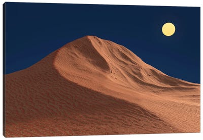 Moonlit Night In The Desert Canvas Art Print - Mike Kiev