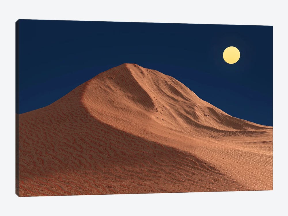 Moonlit Night In The Desert by Mike Kiev 1-piece Canvas Art Print