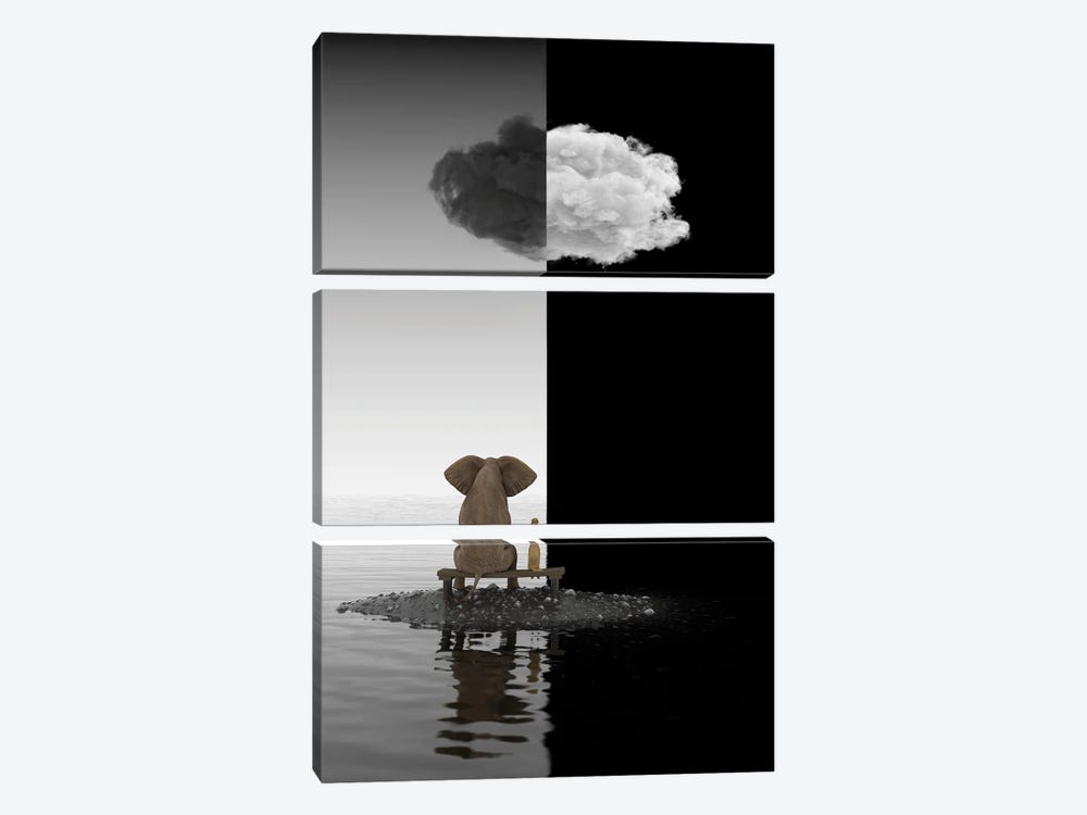 Elephant And Dog Sit On A Island, B&W by Mike Kiev 3-piece Art Print