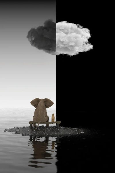 Elephants: Elephant And Dog Sit On A Island, B&W by Mike Kiev