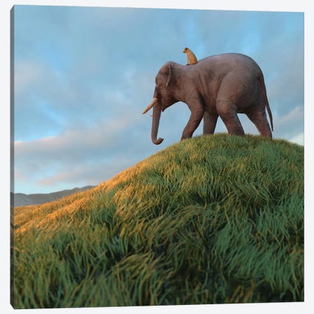 Dog Rides An Elephant Across The Field Canvas Print #MII236} by Mike Kiev Canvas Artwork