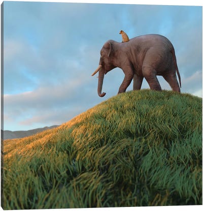 Dog Rides An Elephant Across The Field Canvas Art Print - Mike Kiev