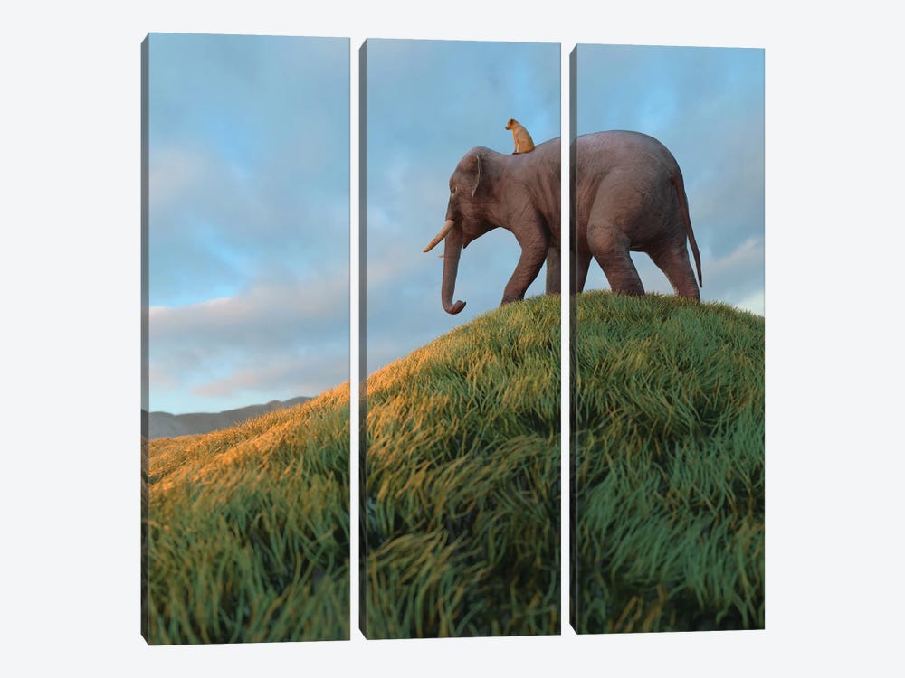 Dog Rides An Elephant Across The Field by Mike Kiev 3-piece Canvas Artwork