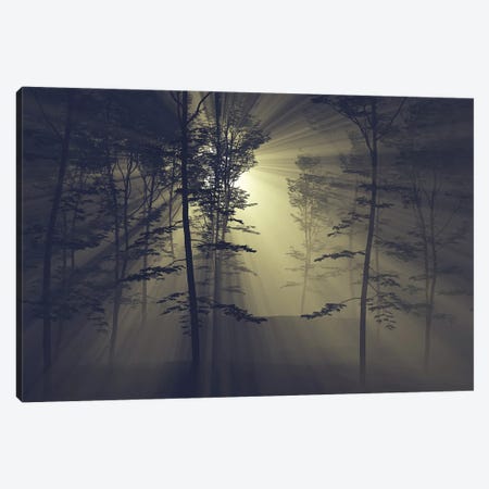 Rays Of The Sun In A Foggy Forest Canvas Print #MII238} by Mike Kiev Art Print