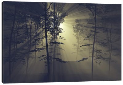 Rays Of The Sun In A Foggy Forest Canvas Art Print - Mike Kiev