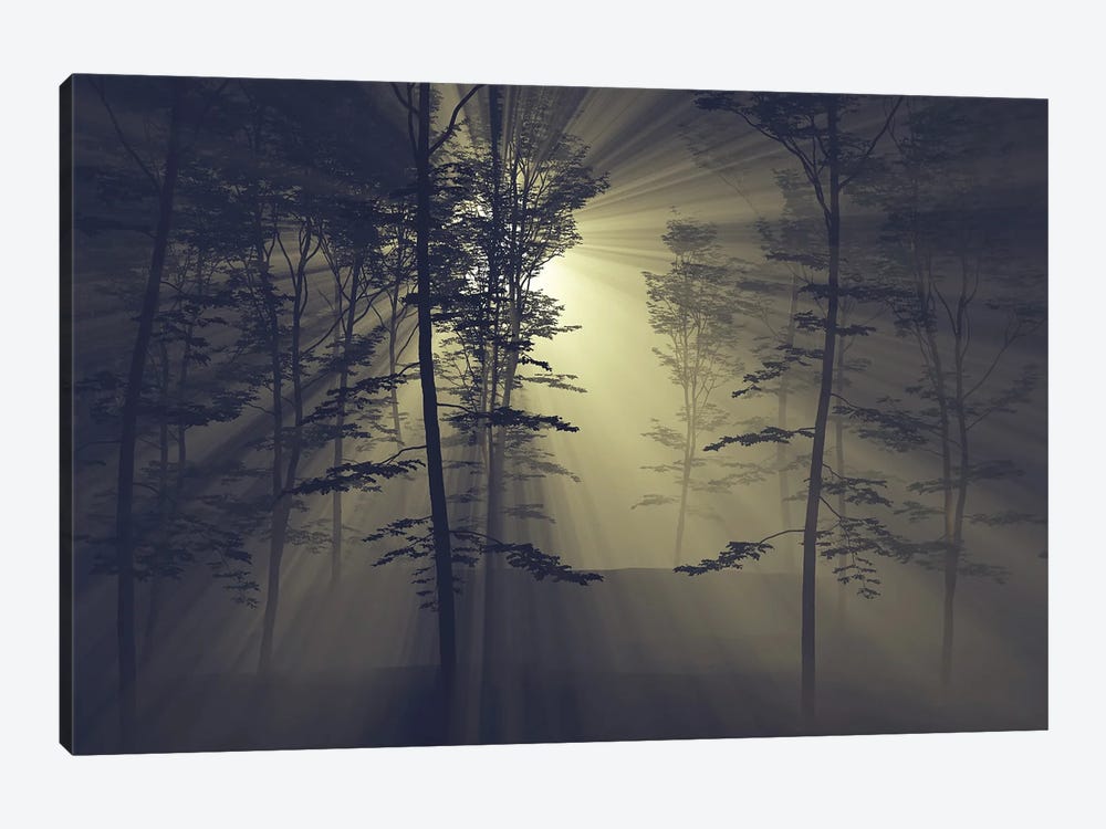 Rays Of The Sun In A Foggy Forest by Mike Kiev 1-piece Canvas Art