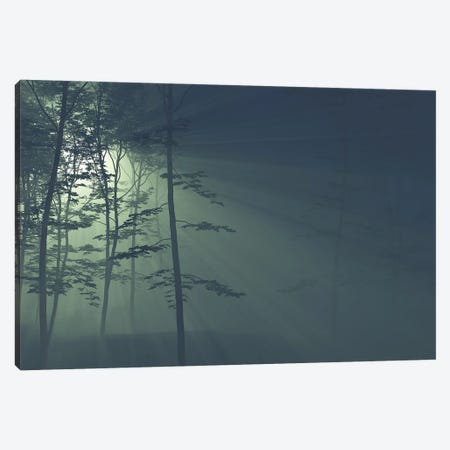Rays Of The Sun In A Foggy Forest II Canvas Print #MII239} by Mike Kiev Canvas Art Print