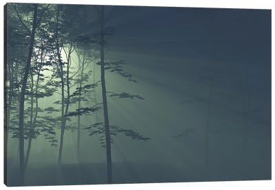 Rays Of The Sun In A Foggy Forest II Canvas Art Print - Mike Kiev