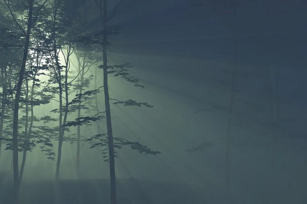 Mike Kiev: Rays Of The Sun In A Foggy Forest II by Mike Kiev
