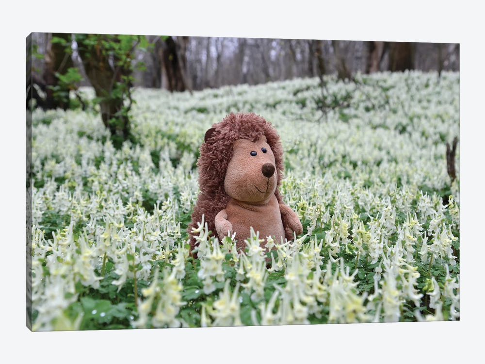 Hedgehog In A Blooming Meadow II by Mike Kiev 1-piece Art Print