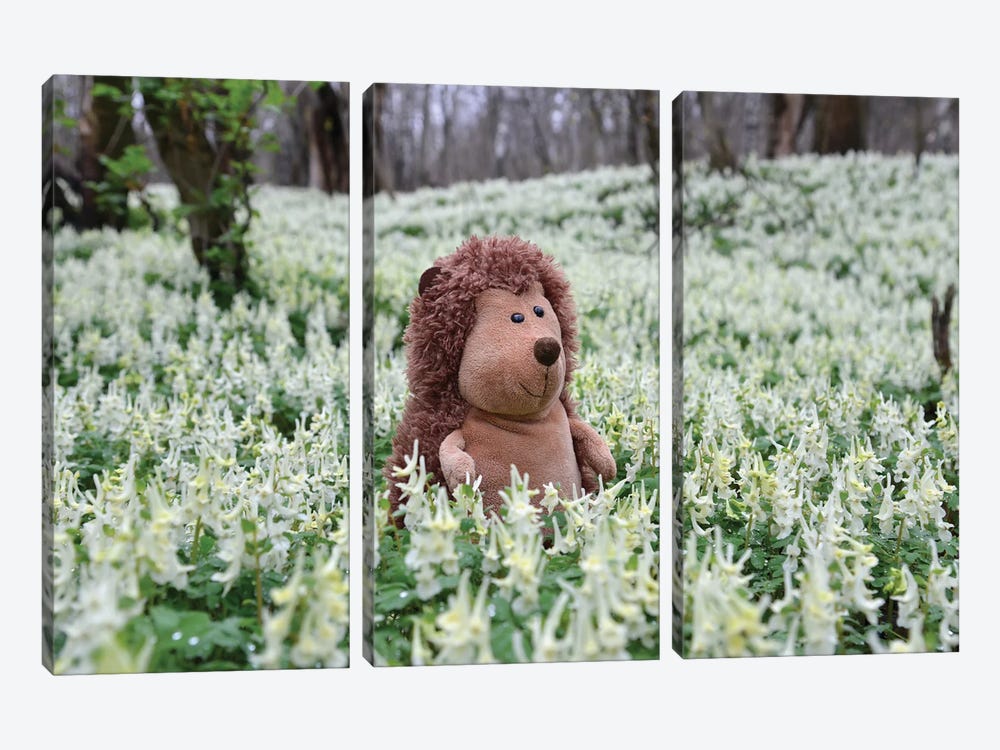 Hedgehog In A Blooming Meadow II by Mike Kiev 3-piece Canvas Print
