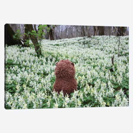 Hedgehog In A Blooming Meadow III Canvas Print #MII245} by Mike Kiev Canvas Print
