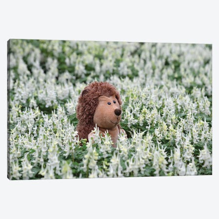 Hedgehog In A Blooming Meadow I Canvas Print #MII246} by Mike Kiev Canvas Art Print